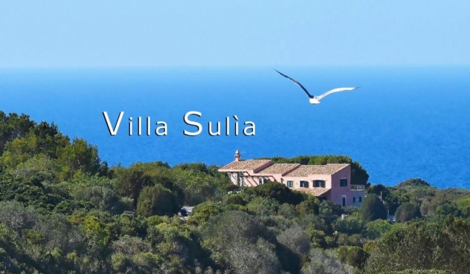 Villa Sulia