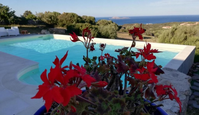 La Sima villa con piscina vista mare San Pantaleo Sardegna